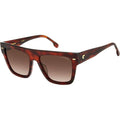 3016/S, Brown Horn/Brown Gradient Lenses