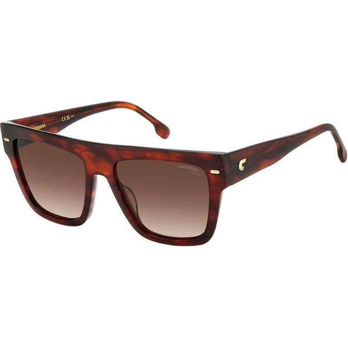 3016/S, Brown Horn/Brown Gradient Lenses