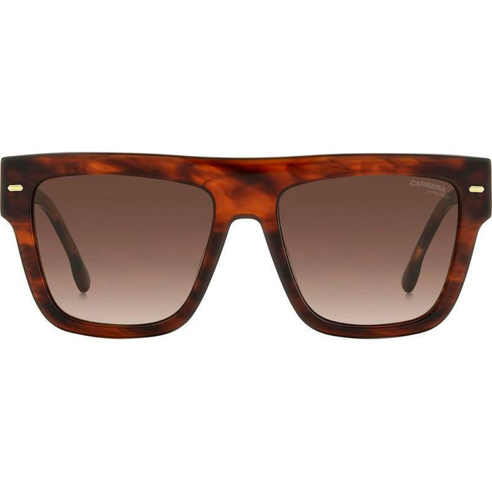 3016/S, Brown Horn/Brown Gradient Lenses