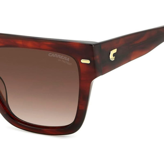 3016/S, Brown Horn/Brown Gradient Lenses