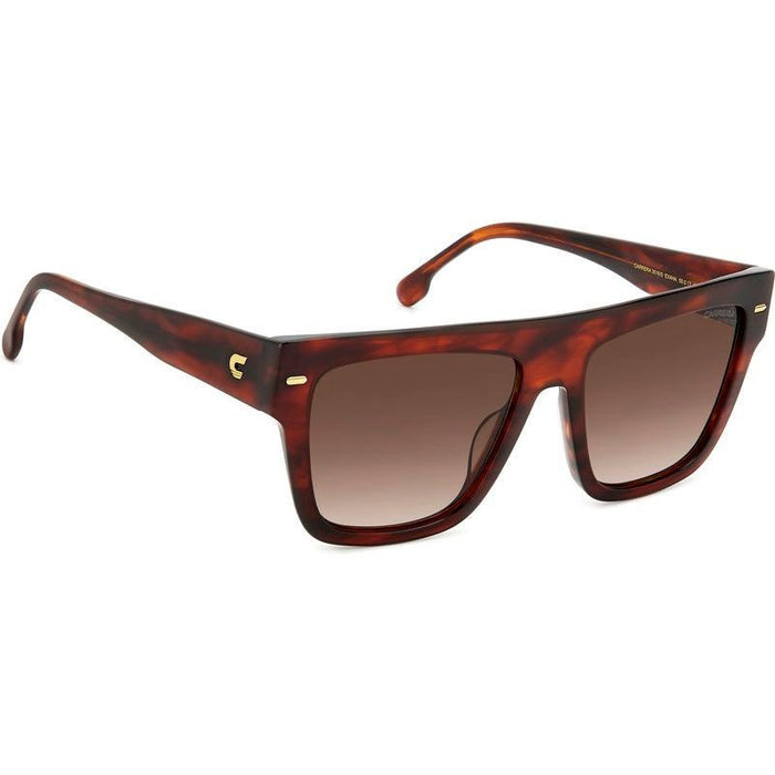 3016/S, Brown Horn/Brown Gradient Lenses