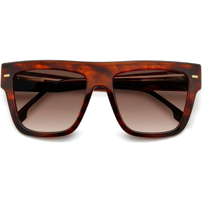 3016/S, Brown Horn/Brown Gradient Lenses