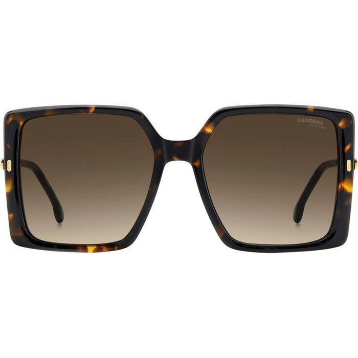 3070/S, Havana and Gold/Brown Gradient Lenses