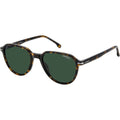 342/S, Brown Havana and Dark Ruthenium/Green Lenses