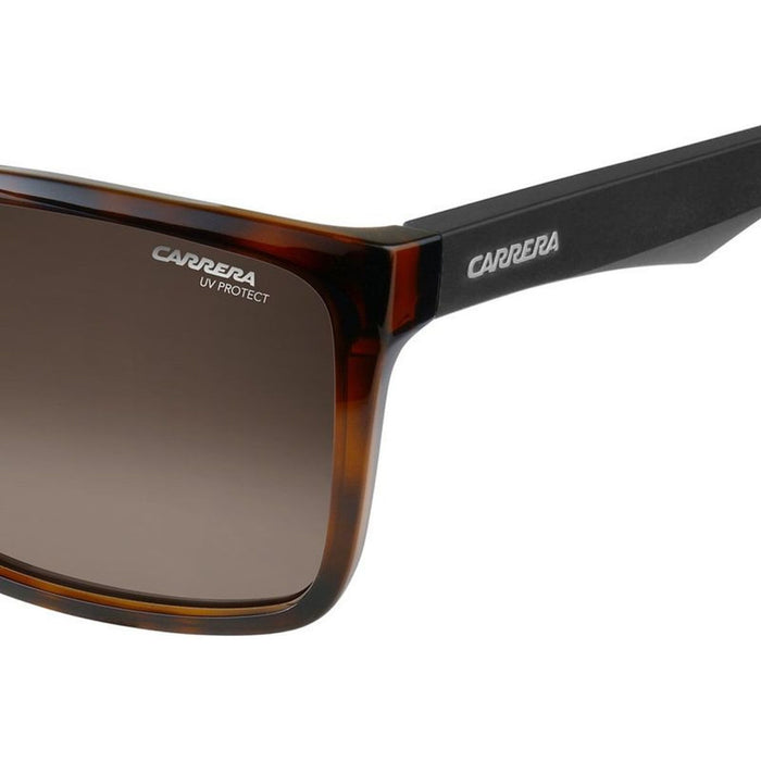 5039/S, Havana and Black/Brown Gradient Lenses