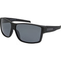 6054, Black/Smoke Polarised Lenses