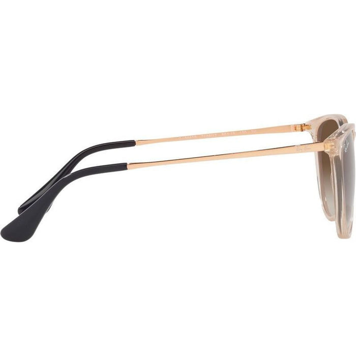 9060S Junior Erika, Transparent Light Brown/Brown Gradient Lenses