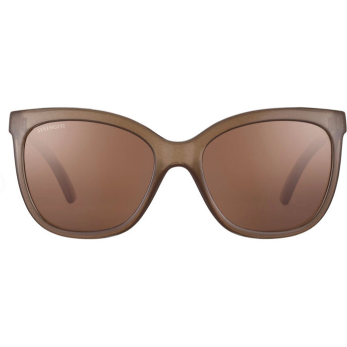 Agata, Shiny Espresso/Drivers Gradient Polarised Photochromic Glass Lenses