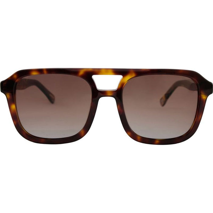Albus, Demi/Brown Gradient Polarised Lenses
