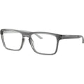 AN7288, Grey and Metallic Silver/Clear Lenses