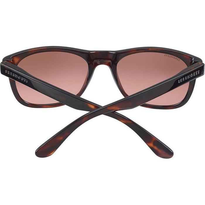 Anteo, Shiny Dark Tortoise/Drivers Mineral Gradient Polarised Glass Lenses