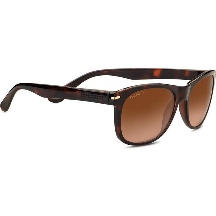 Anteo, Shiny Dark Tortoise/Drivers Mineral Gradient Polarised Glass Lenses