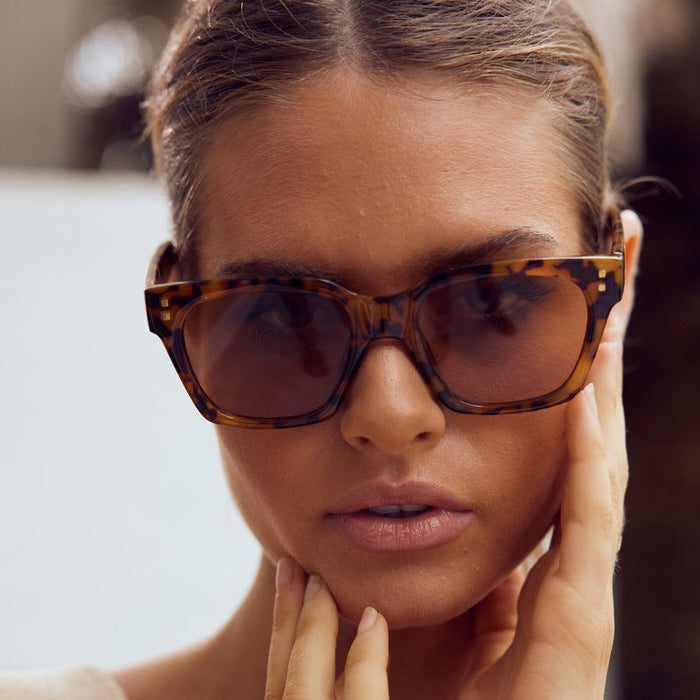 Anvil, Light Turtle/Brown Lenses