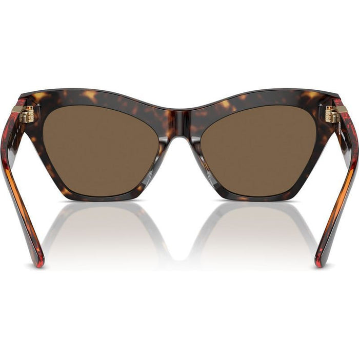 BE4420U, Dark Havana/Dark Brown Lenses