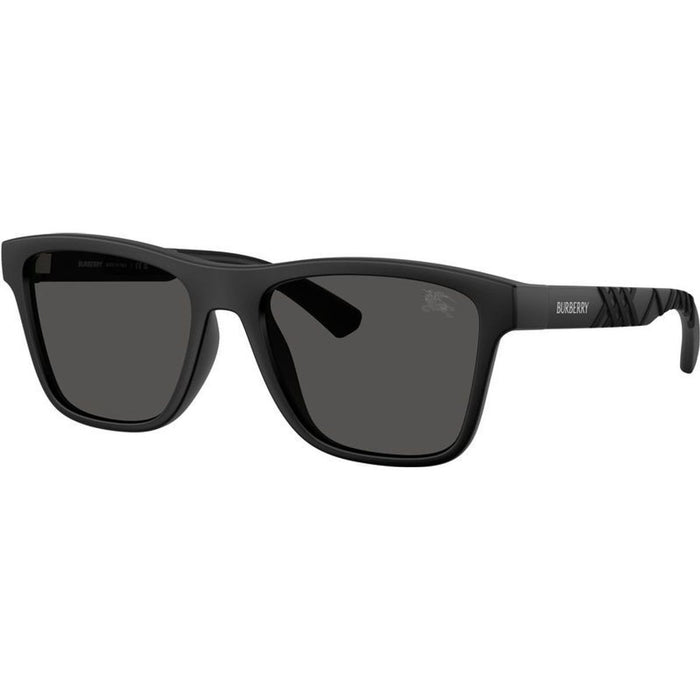 BE4482U, Matte Black/Dark Grey Lenses