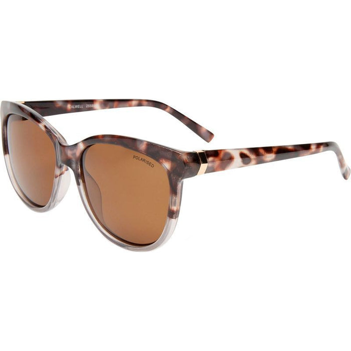 Calwell, Charcoal Tort and Grey/Brown Polarised Lenses