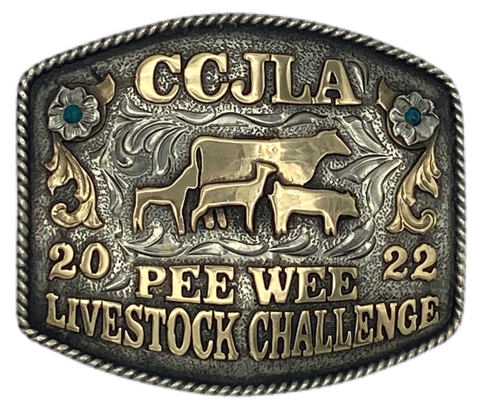 CBP 105 - Corriente Buckle