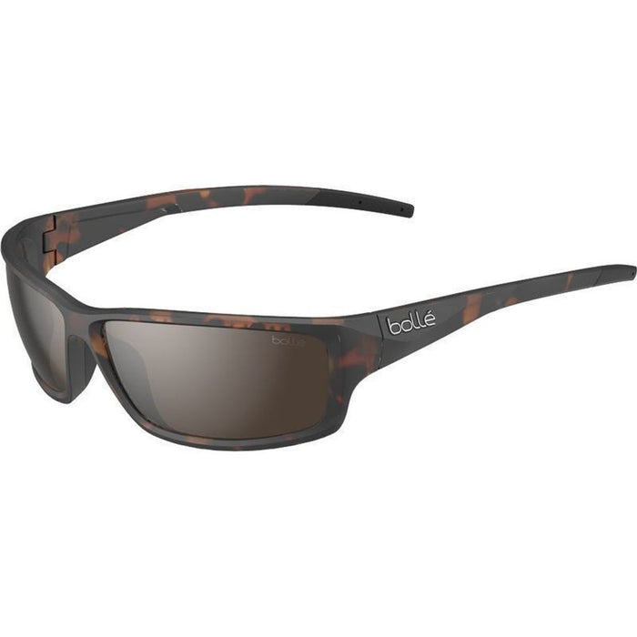 Cerber, Shiny Dark Tortoise/Brown Polarised Lenses