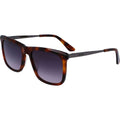 CK22536S, Brown Havana/Smoke Gradient Lenses