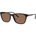 Cortex AN4291, Black/Dark Brown Lenses