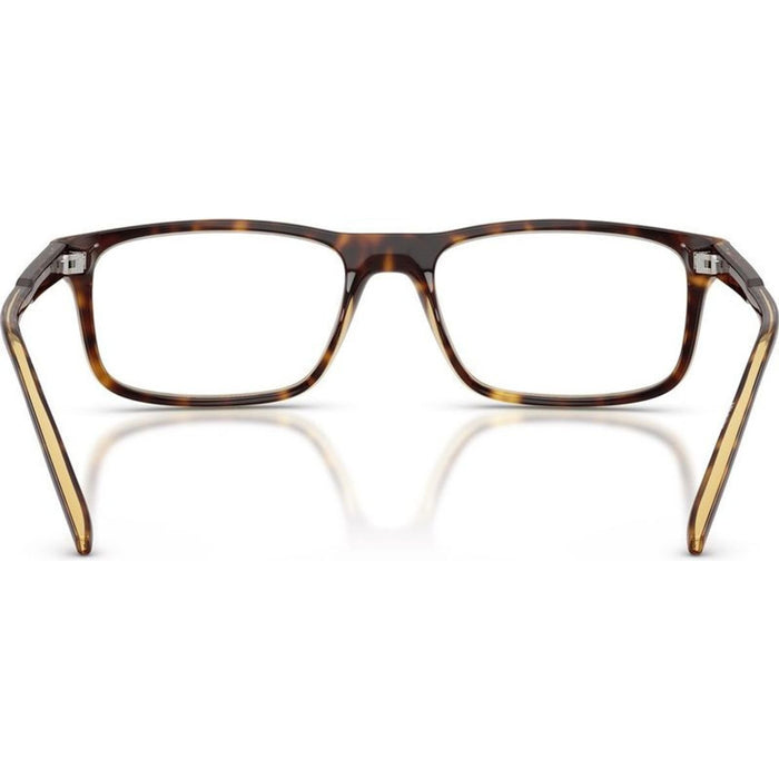 Dark Voyager AN7194, Dark Havana/Clear Lenses