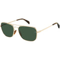DB 1093/S, Gold/Green Lenses