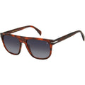 DB 7111/S, Brown Horn/Dark Grey Gradient Lenses