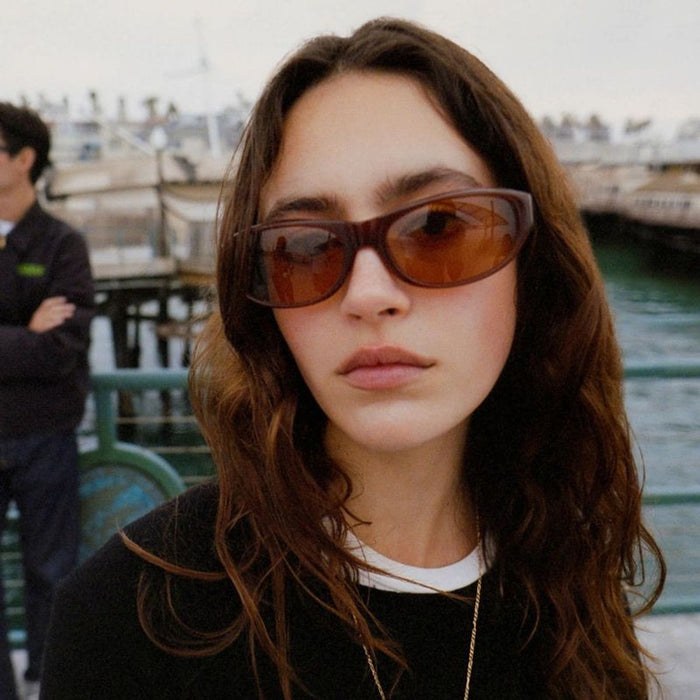 Dome, Polished Brown/Brown Lenses