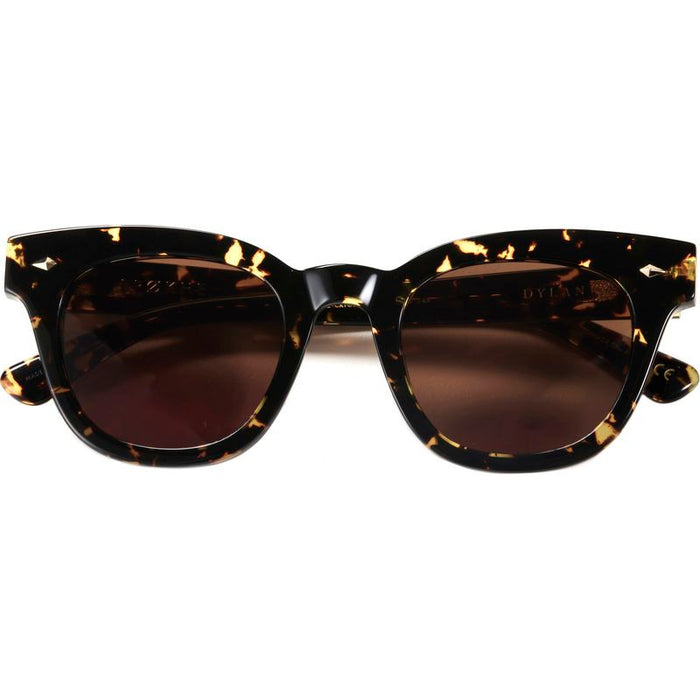 Dylan, Crystal Dark Tortoise/Bronze Lenses