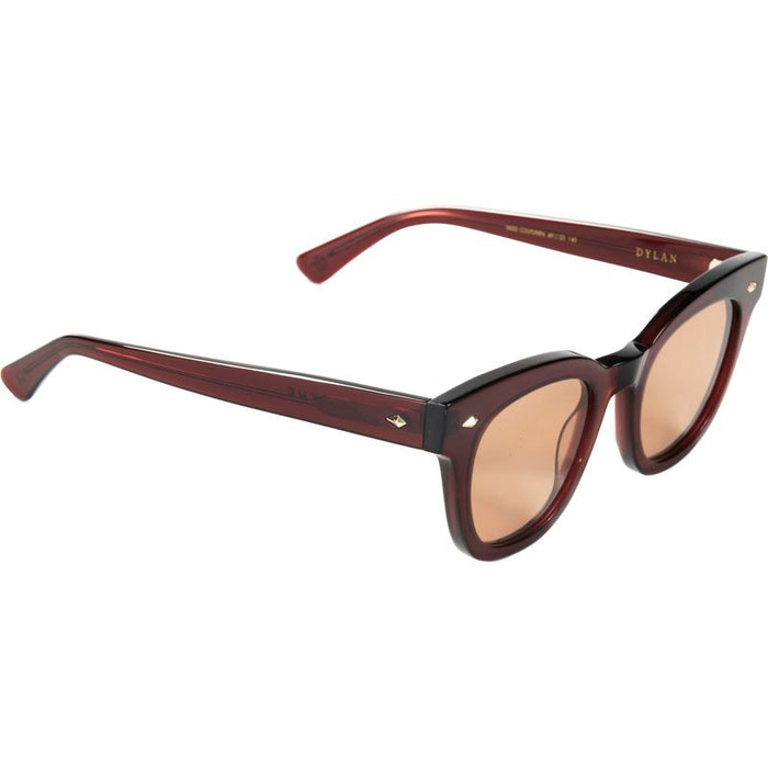 Dylan, Polished Cola/Brown Lenses