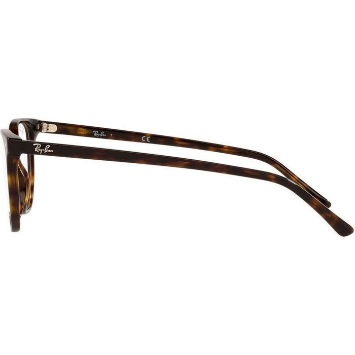 Elliot RX5397, Havana/Clear Lenses 50 Eye Size