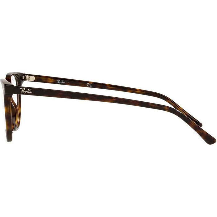 Elliot RX5397, Havana/Clear Lenses 48 Eye Size