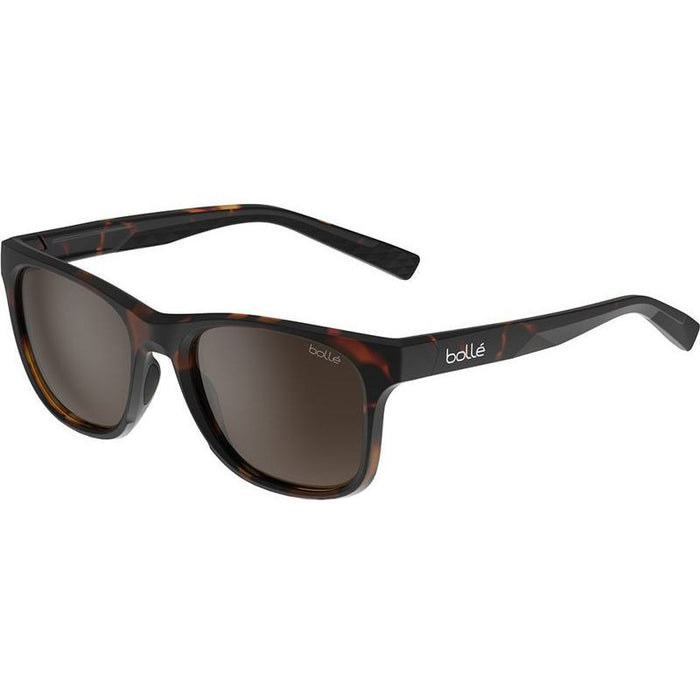 Esteem, Matte Dark Tortoise/Brown Polarised Lenses