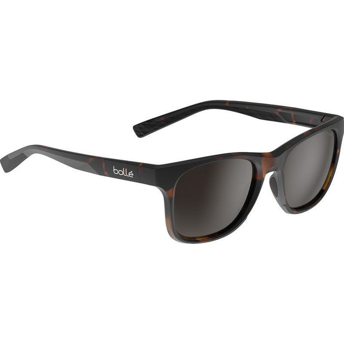 Esteem, Matte Dark Tortoise/Brown Polarised Lenses