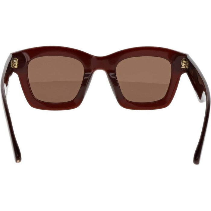 Eye, Translucent Dark Brown/Brown Lenses