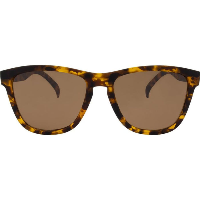 Gritty, Rubber Tort/Brown Polarised Lenses