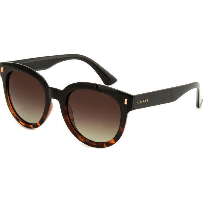 Harpo, Gloss Black Tort/Brown Gradient Polarised Lenses
