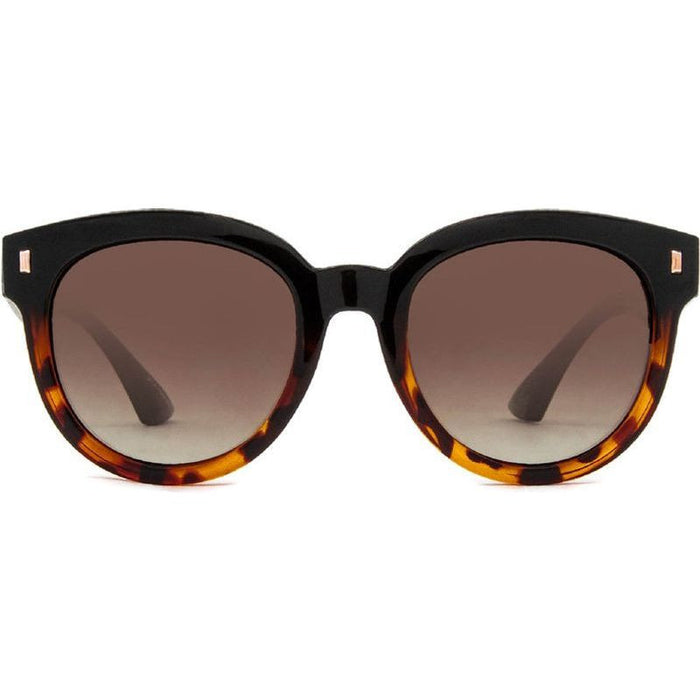 Harpo, Gloss Black Tort/Brown Gradient Polarised Lenses