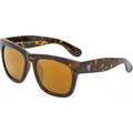 Haze, Turtle Brown/Brown Lenses