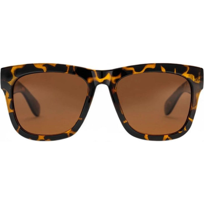 Haze, Turtle Brown/Brown Lenses