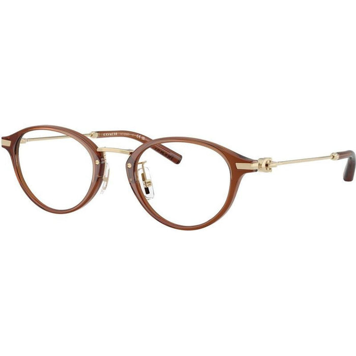 HC6268D, Transparent Brown/Clear Lenses