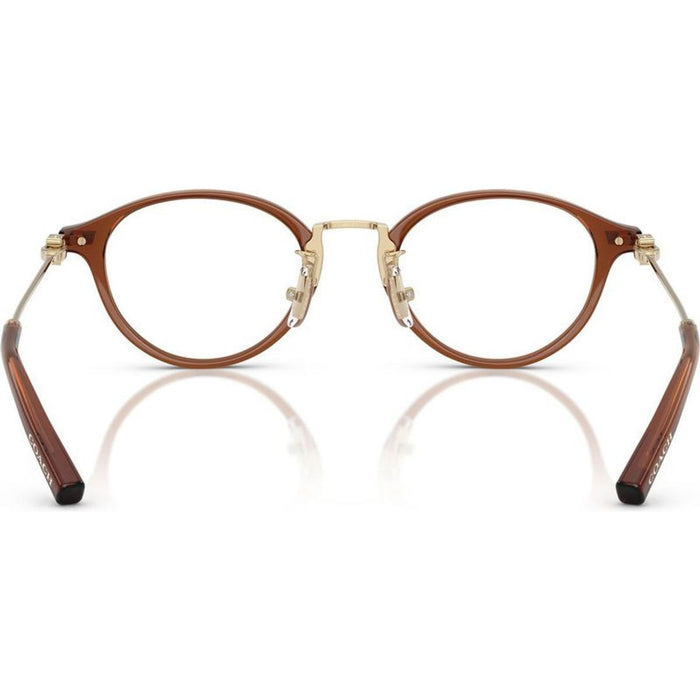 HC6268D, Transparent Brown/Clear Lenses