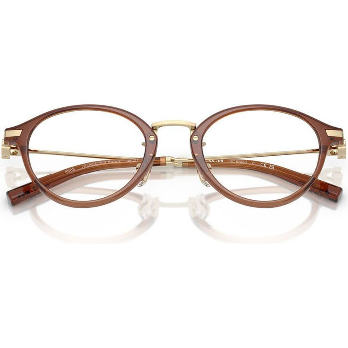 HC6268D, Transparent Brown/Clear Lenses