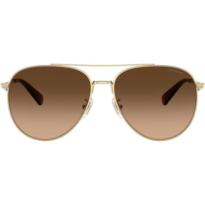 HC7169, Shiny Light Gold/Brown Gradient Lenses