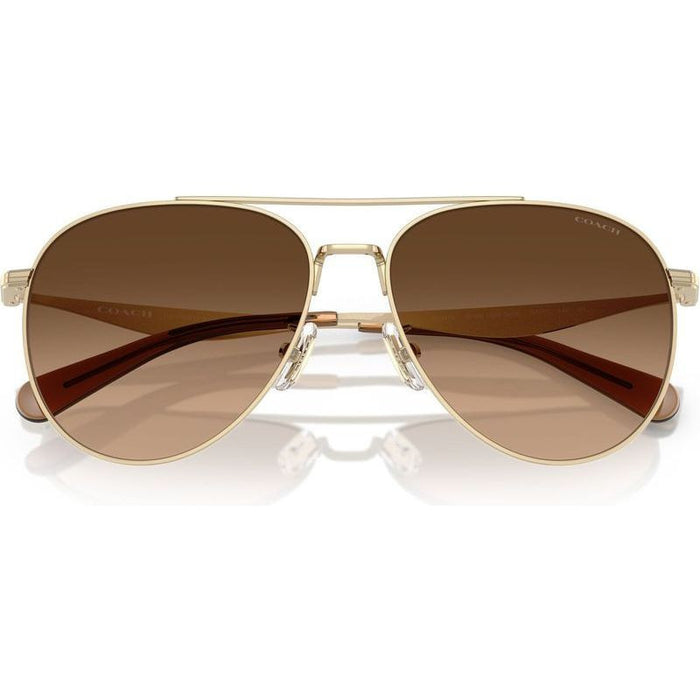HC7169, Shiny Light Gold/Brown Gradient Lenses