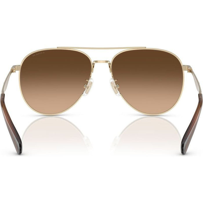 HC7169, Shiny Light Gold/Brown Gradient Lenses