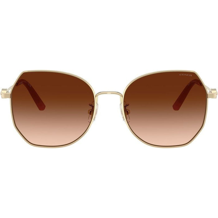 HC7175, Shiny Light Gold/Brown Gradient Lenses