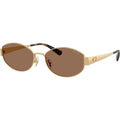 HC7192D, Shiny Gold/Dark Brown Lenses