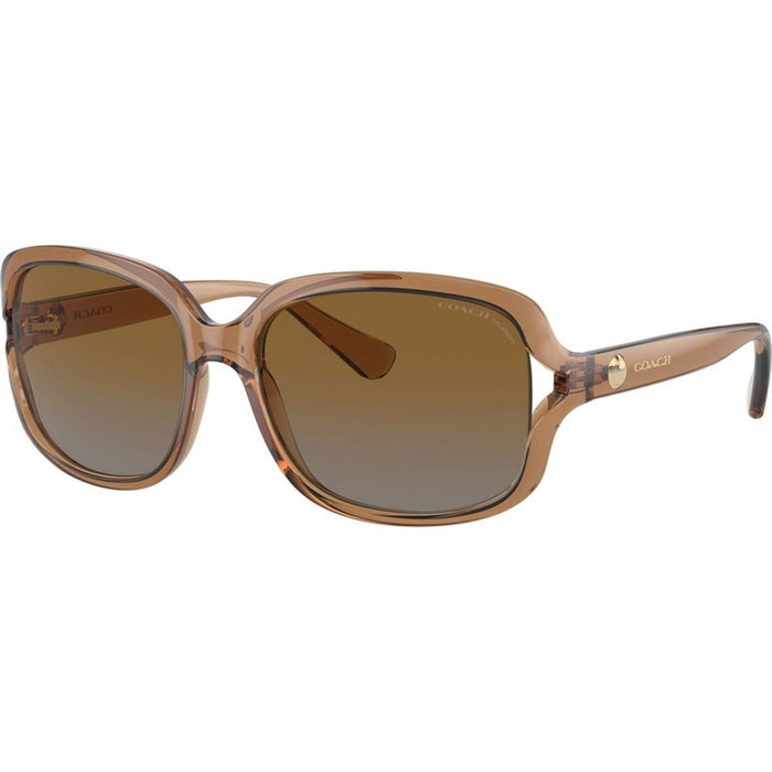HC8169, Transparent Brown/Brown Grey Gradient Polarised Lenses