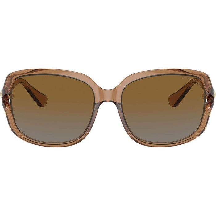 HC8169, Transparent Brown/Brown Grey Gradient Polarised Lenses